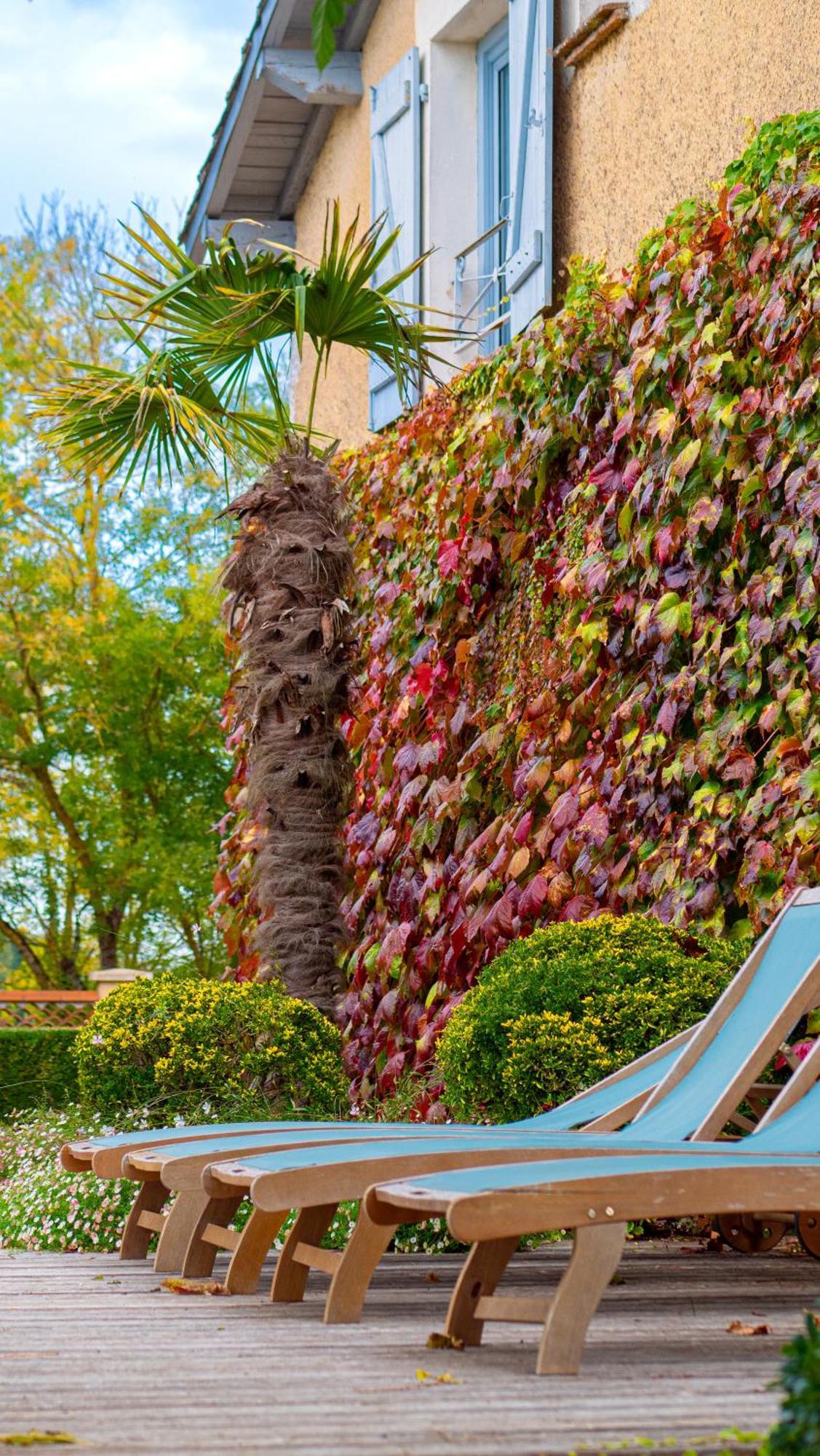 Propriete Le Monneton Bed & Breakfast Sainte-Christie Dış mekan fotoğraf